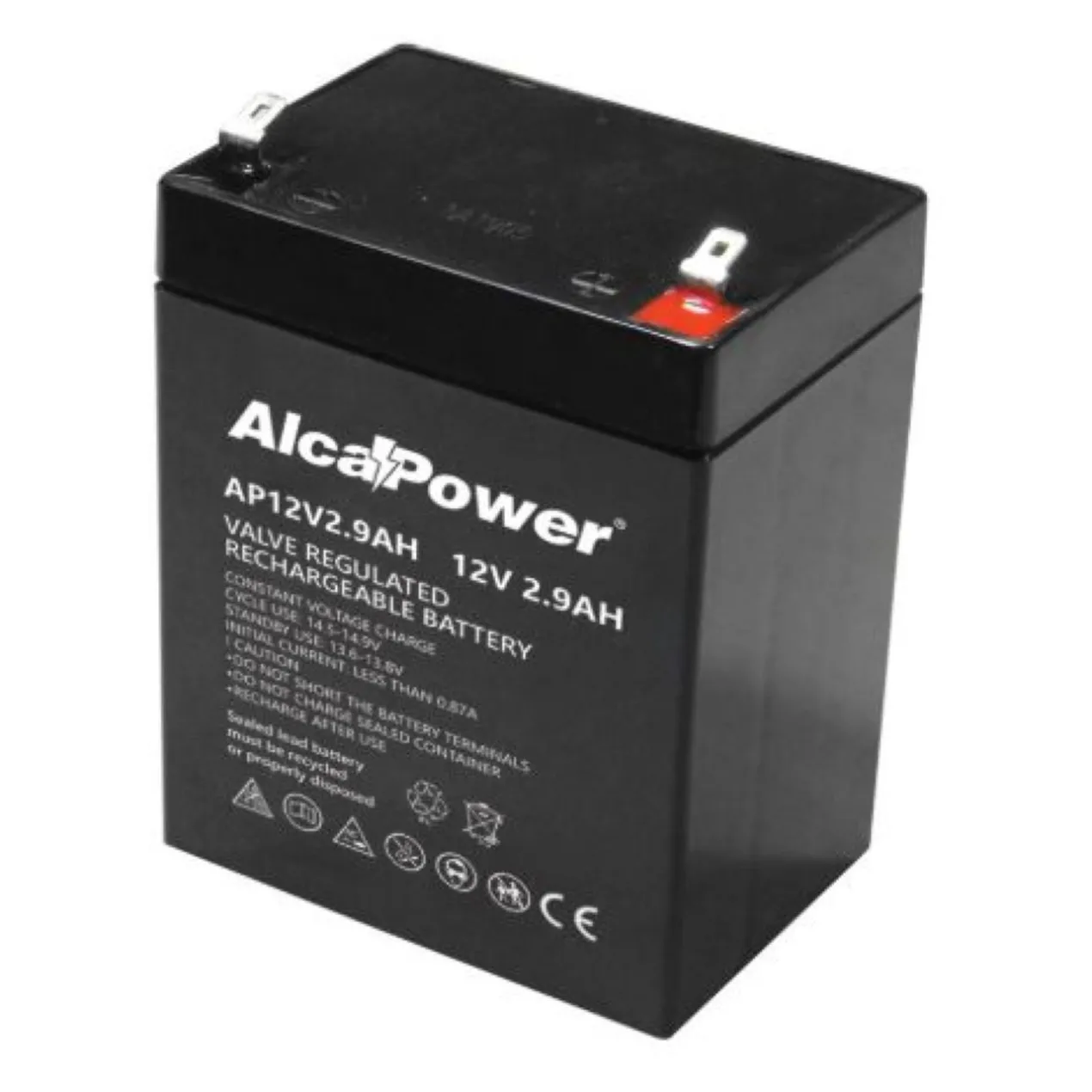 Batteria Al Piombo Ricaricabile AGM Per Servizi 12v 2,9ah