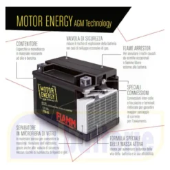 Batteria Fiamm Agm Ft30-12b - 53030 12v. 30 Ah.