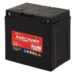 Batteria Fiamm Agm Ft30-12b - 53030 12v. 30 Ah.