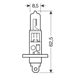 Lampada H1 12v 55w