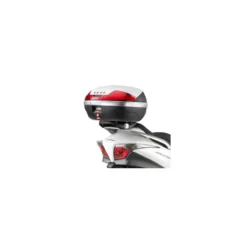 Portapacchi Givi Sr19 Honda Silver Wing 400-600/sw-t 400 09
