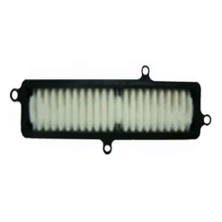 Suzuki Uh Burgman 125/200 07- Filtro Aria E17613