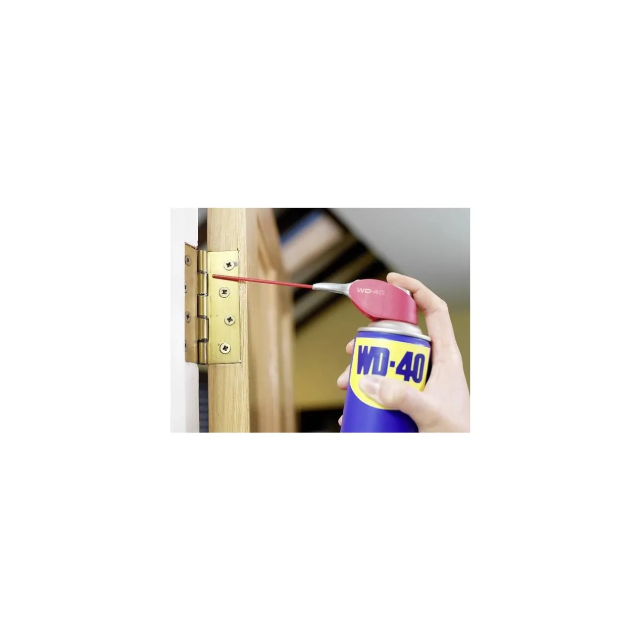 Wd-40 Spray 250ml Doppia Posizione
